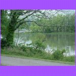 Cove Lake.jpg